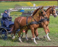 2POSIEUX 0239